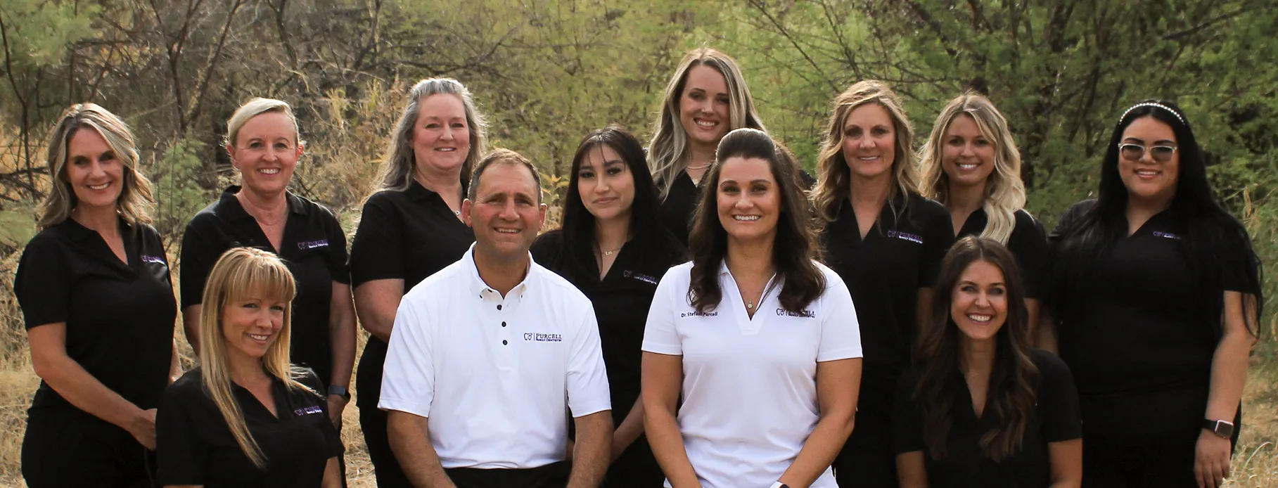 Why Choose our team